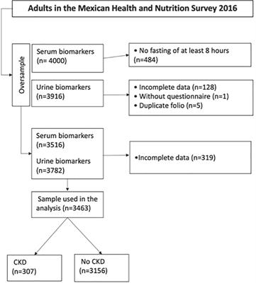 Chronic kidney disease risk prediction scores assessment and development in Mexican adult population